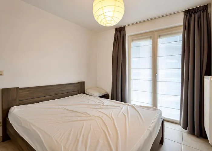 Chat,dazur 0101g Koksijde